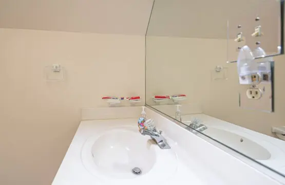 21c055d0 207d 4a4f ad88 c6c101124a8e