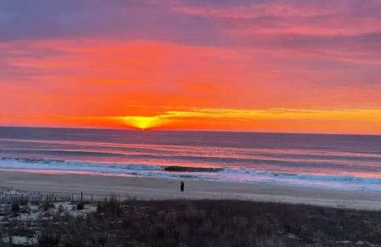 321dd007 c8a9 4e2d 912a 2c3fa039bb73