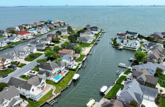 36f01e86 5ae9 4435 aa31 d28f867666bf