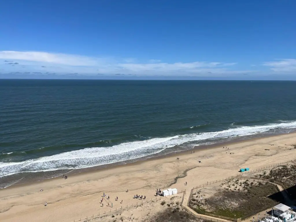 447faac8 a9ae 4cb9 9fea 5f0ca1763b0c