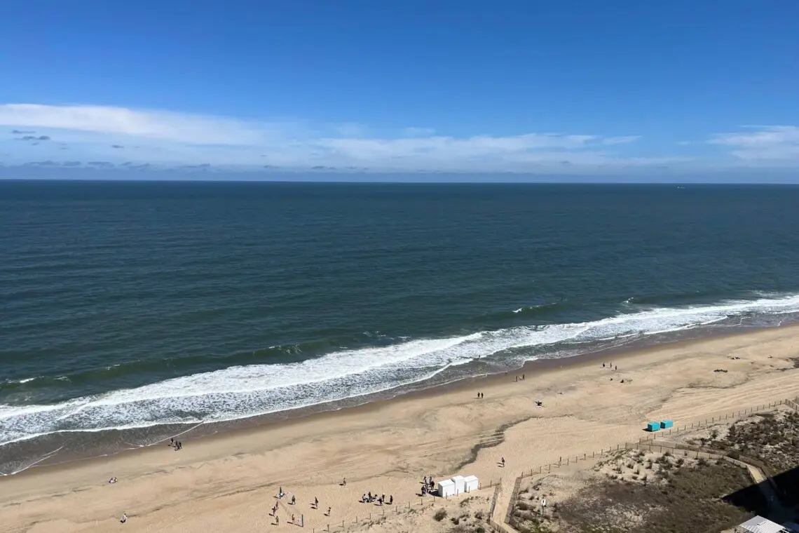 447faac8 a9ae 4cb9 9fea 5f0ca1763b0c