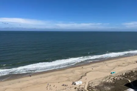 447faac8 a9ae 4cb9 9fea 5f0ca1763b0c