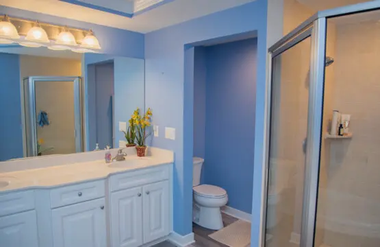 48edc5df b3c2 4f24 924a e1f3535f4680