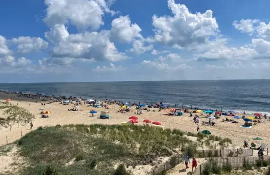 735c90c6 799f 49e6 9b44 14c11b80c041