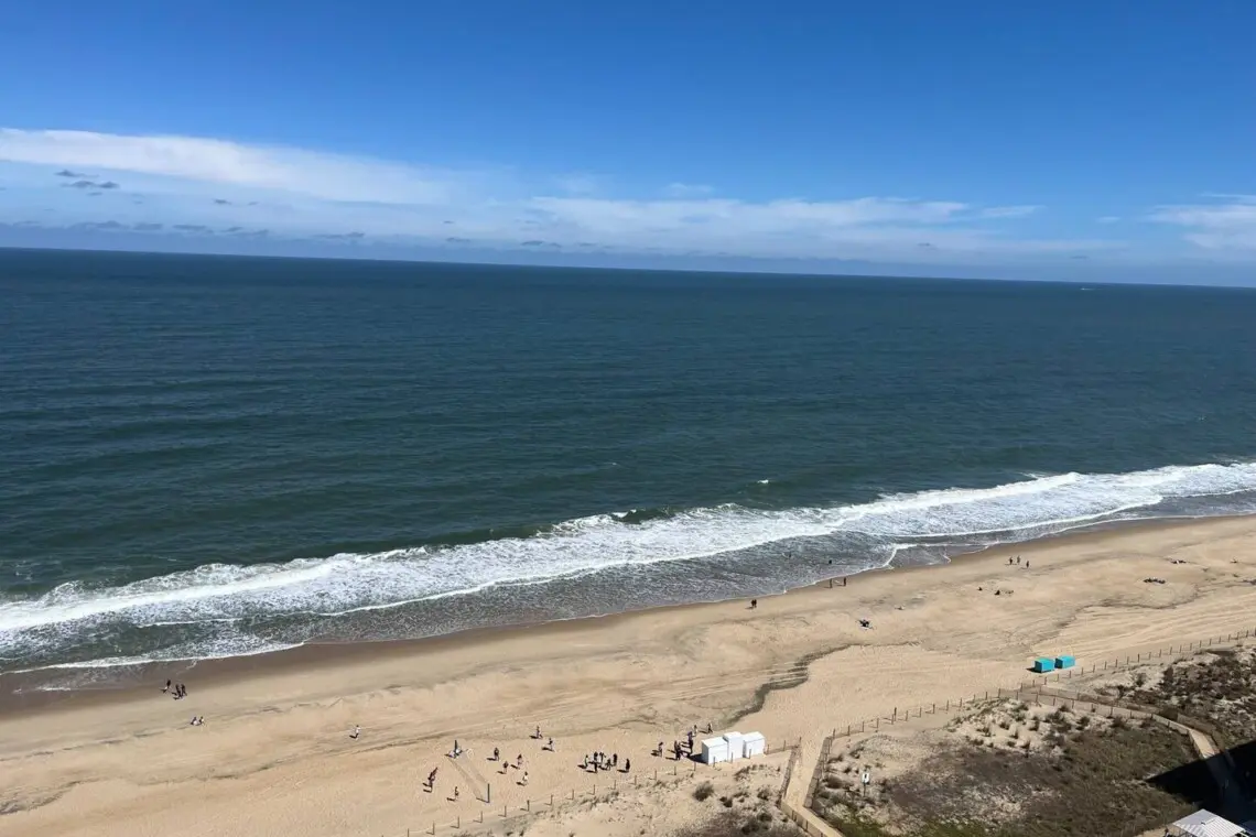 77af0d26 a43e 4b2b be14 bc7927fbce89