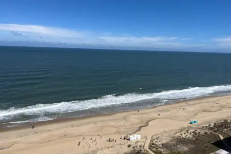 77af0d26 a43e 4b2b be14 bc7927fbce89