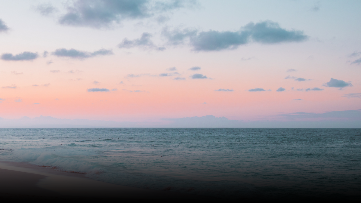 Understanding Rental Market Trends in Ocean City