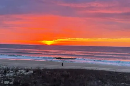 a0011a3a 686a 405d b2f1 df2d55061e09