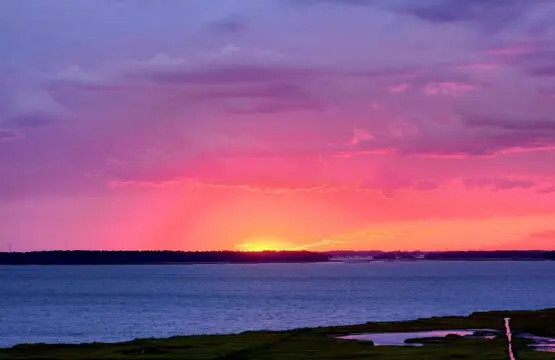 a3c10347 3357 49bc bf1b c60cacf51b79