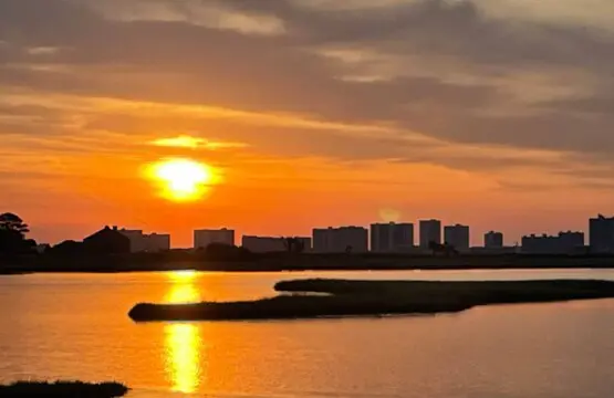 c1c13718 c637 466b bb89 b377e1e6516a