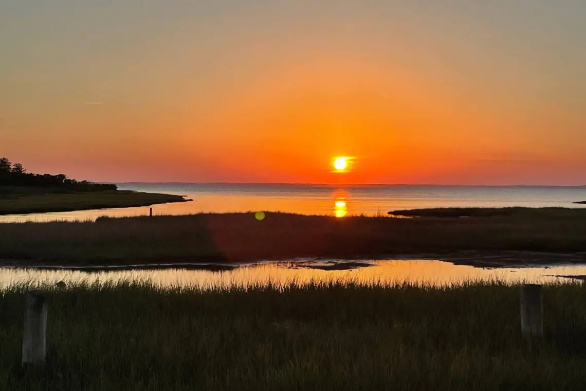 cd99f35a c7eb 4b90 b9cc 4793eca2958f