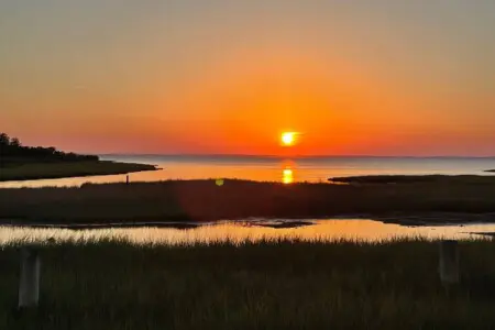 cd99f35a c7eb 4b90 b9cc 4793eca2958f