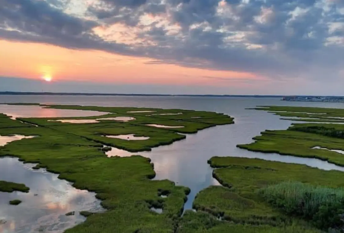 fd1b4a47 6177 4ce4 ae67 276c55b971e7