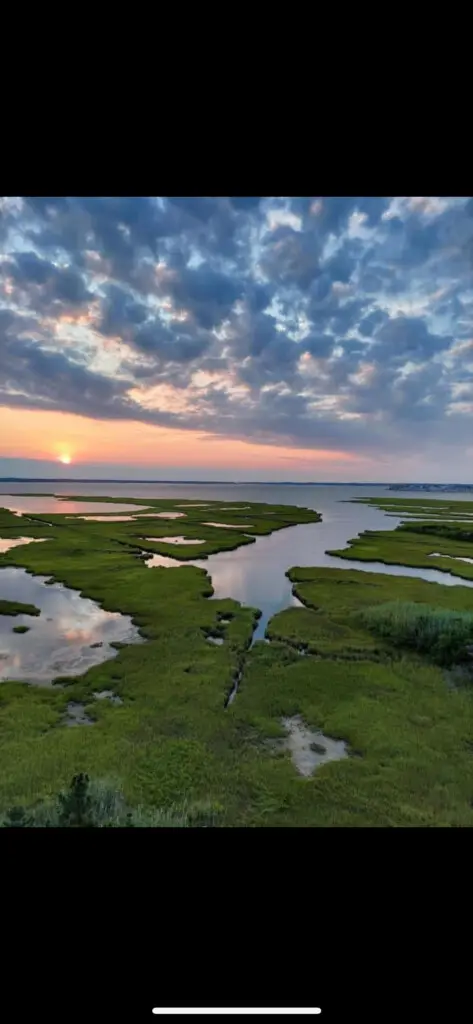 fd1b4a47 6177 4ce4 ae67 276c55b971e7