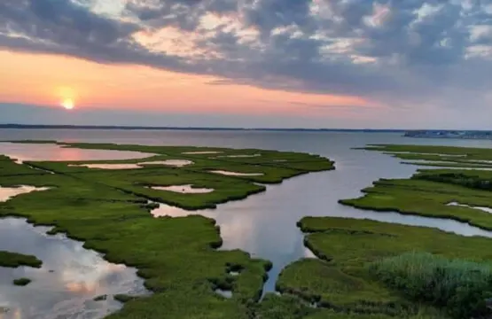 fd1b4a47 6177 4ce4 ae67 276c55b971e7