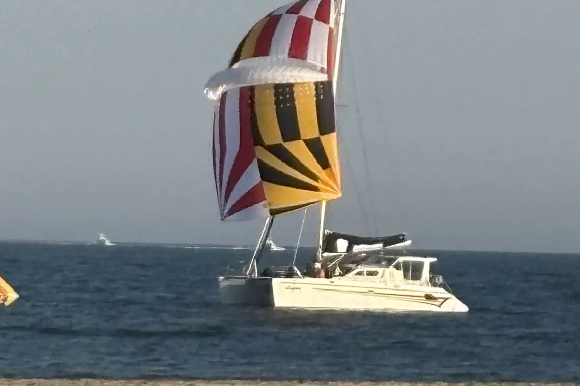 223c64a8 7d9b 4bcc 8216 58d1683d23a6