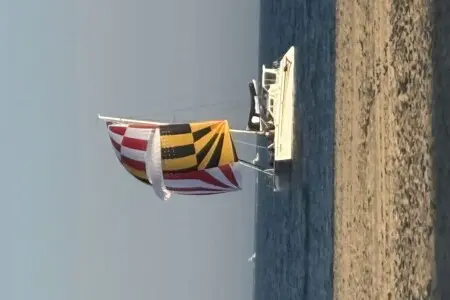 223c64a8 7d9b 4bcc 8216 58d1683d23a6