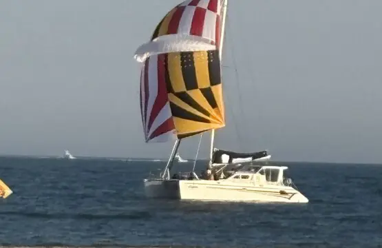 223c64a8 7d9b 4bcc 8216 58d1683d23a6