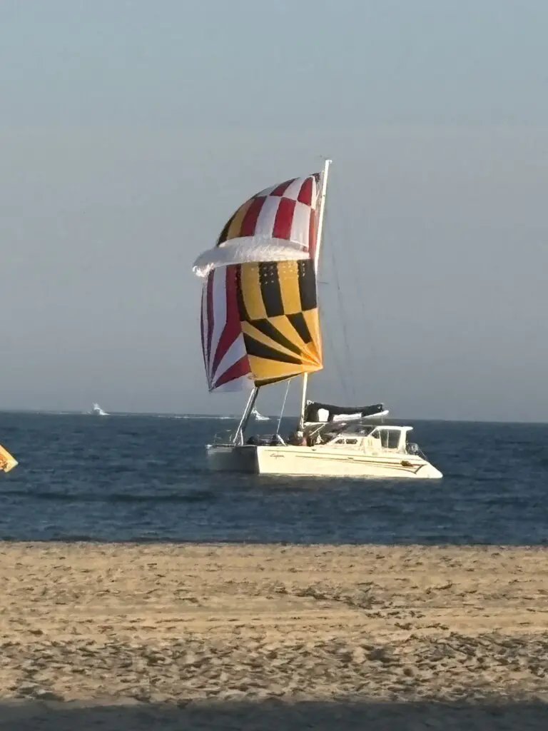 223c64a8 7d9b 4bcc 8216 58d1683d23a6