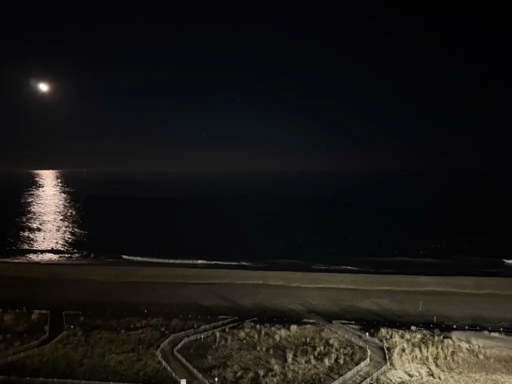 40cd8071 94e7 4d5c 8652 7d4c4c06398c