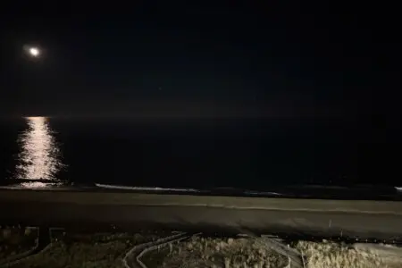 40cd8071 94e7 4d5c 8652 7d4c4c06398c