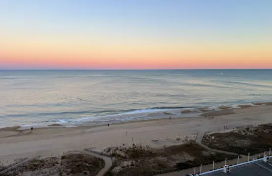 c0699463 03f1 4394 8abf 5fa8ffb0323a