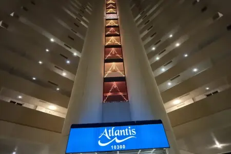 d2c12f38 456a 4809 94f1 5f45df9c769d