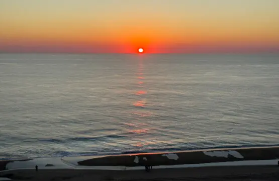 f45f28e6 e941 4fe5 8074 618b05548e04