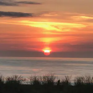 82eba75a e355 4341 a732 ebdeb0e3d3c9