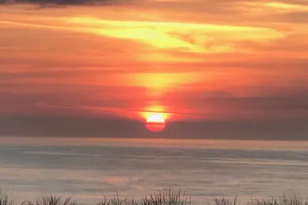 82eba75a e355 4341 a732 ebdeb0e3d3c9