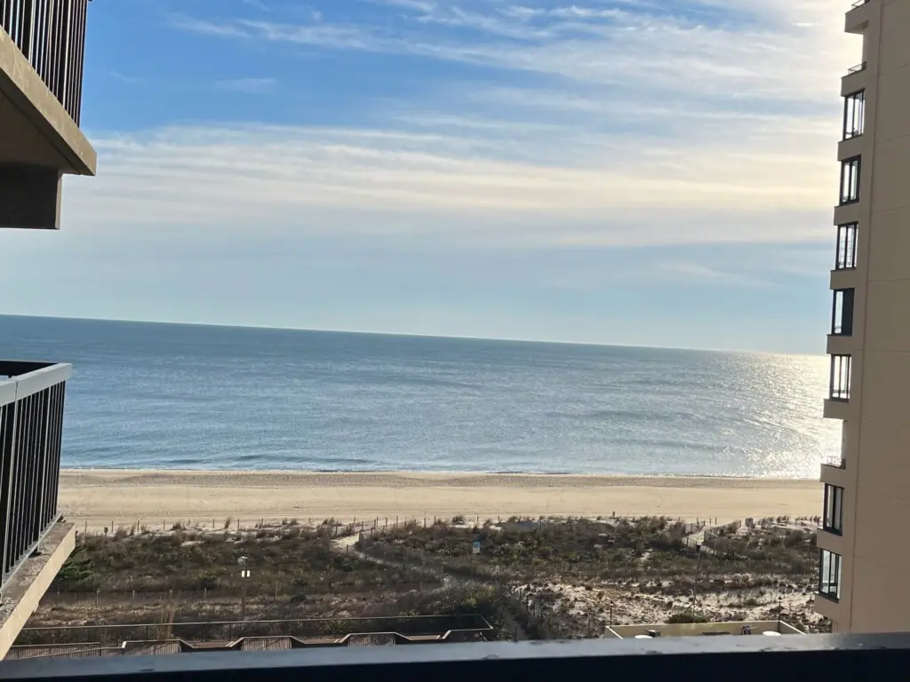 bca18571 512f 41eb 889d 41b81952528a