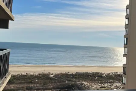 bca18571 512f 41eb 889d 41b81952528a