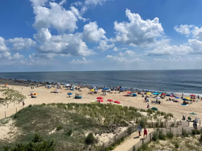 735c90c6 799f 49e6 9b44 14c11b80c041.jpg